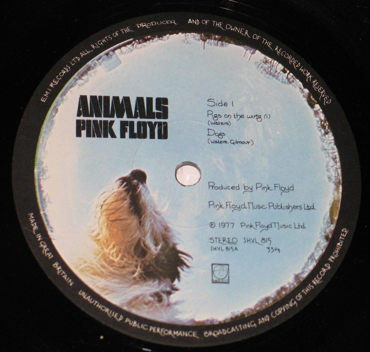 High Resolution Photo #4 PINK FLOYD animals uk 